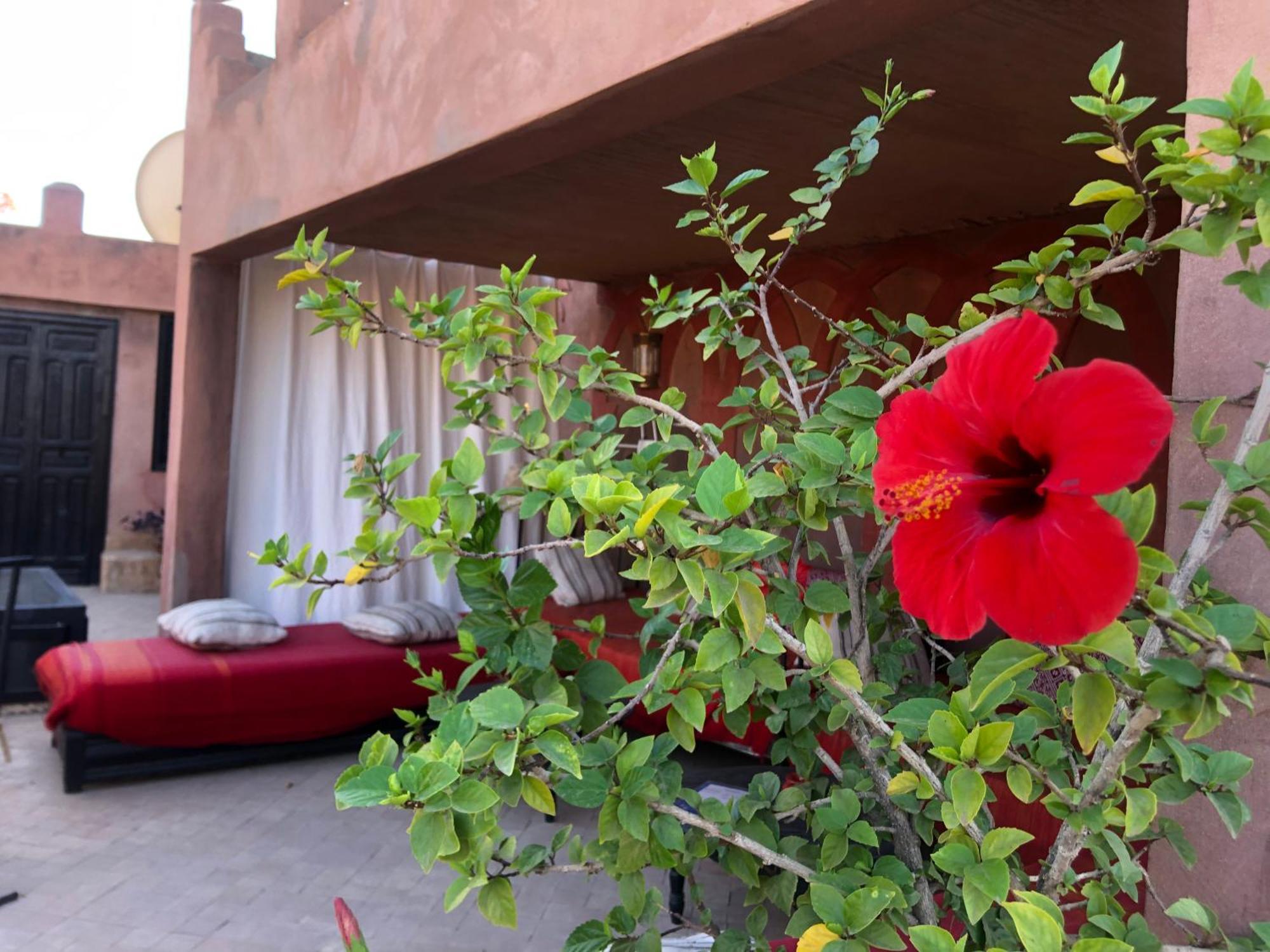 Dar Fangui Hotel Marrakesh Buitenkant foto